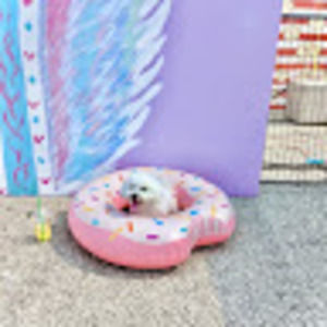 Meet your Posher, Maya